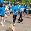 반려견·다문화청소년들과 함께 커플마라톤대회 참가했다