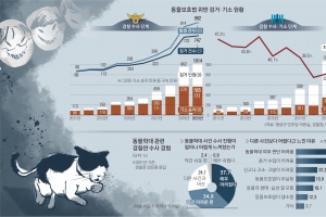 채팅방 두 달 추적… 고양이 묻지마 살해한 A씨, 캣맘 둘이 찾아냈다 [2022 유기동물 리포트-내 이름을 불러주세요]