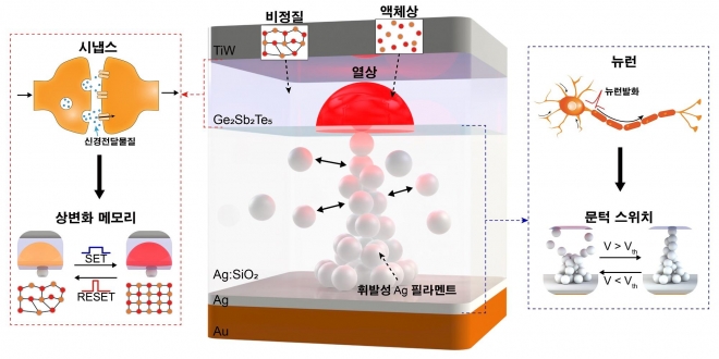 뉴런과 시냅스를 동시에 모사하는 뉴로모픽 소자 개념도