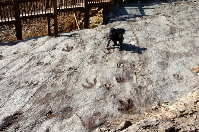 전남 화순군 서유리 화석지에서 발견된 공룡발자국. 전남대 제공