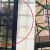 [나우뉴스] 화장실서 볼일 보는데 호랑이가 물끄러미?…中 동물원 논란