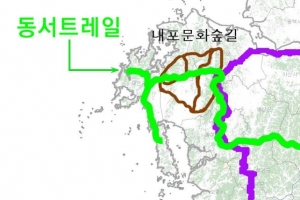 충남 안면송~경북 울진 금강송 잇는 ‘소나무 순례길’ 조성