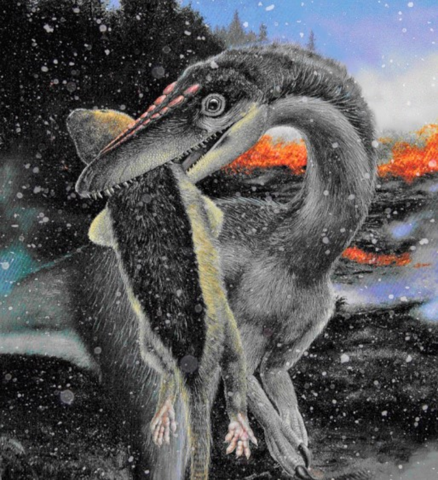 4차 대멸종에도 살아남은 공룡, 기후 적응 덕분 중생대 트라이아스기 4차 대멸종 때 극지방으로 이동한 공룡들은 살아남아 이후 쥐라기와 백악기에 지구를 지배하는 종이 될 수 있었다.  사이언스 어드밴시즈 제공