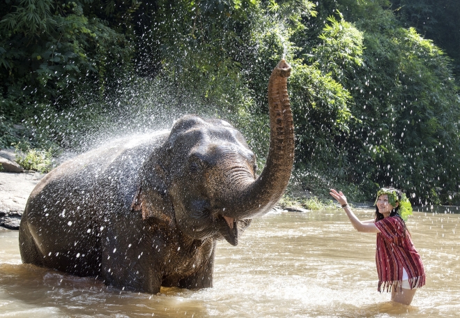 태국 치앙마이 ‘코끼리와의 하루’ 패키지 일정 중 한 여행객이 코끼리와 물놀이를 하고 있다. 치앙마이엘리펀트프렌즈 제공.