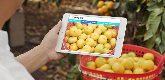 농수축산식품 온라인경매 이미지. aT 제공