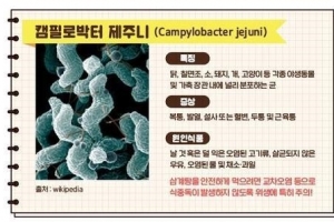 덜 익힌 닭고기 주의보…초복 앞두고 ‘식중독’ 비상