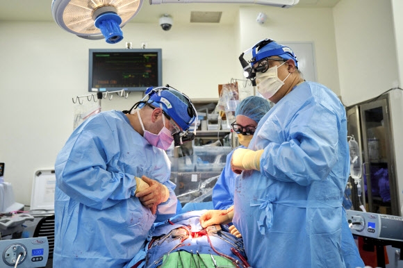 미국 뉴욕대 연구팀이 지난 6일 뇌사자에게 돼지 심장을 이식하기 위해 수술을 준비하고 있다. 2022.07.13 NYU Langone Health 제공.
