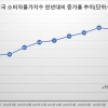 미, 41년만 소비자물가지수 9.1% 상승…미 연준 ‘슈퍼 빅스텝’ 가나