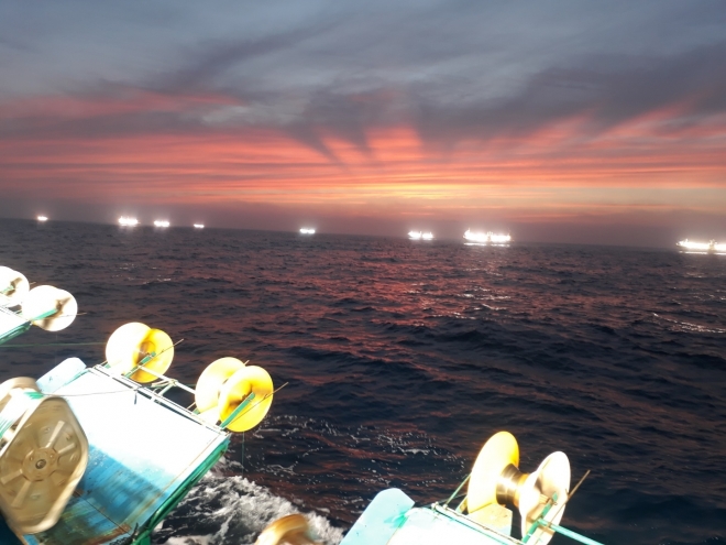 오징어 채낚기 어선 집어등. 강릉시 제공