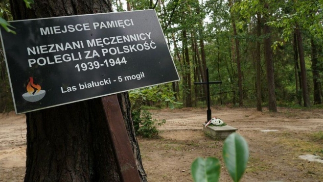 이번에 인간 유해가 무더기로 발굴된 폴란드 북부 비아루키 숲에 나치 희생자들의 무덤임을 알리는 표지판과 십자가가 외로이 서 있다. AFP 자료사진 