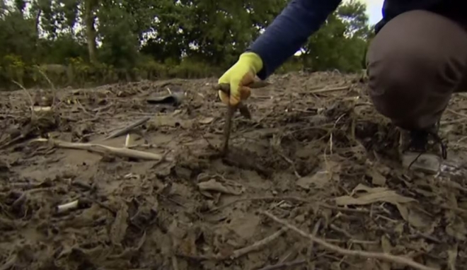 물티슈 쓰레기섬 영국 템스강에서 발견된 물티슈들. BBC 유튜브.