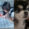 장나라, ♥6세연하 남편 자랑? ‘새댁의 일상’