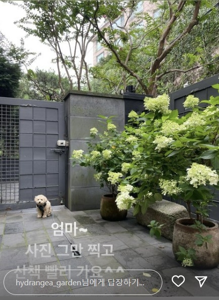 정혜영 인스타그램 캡처