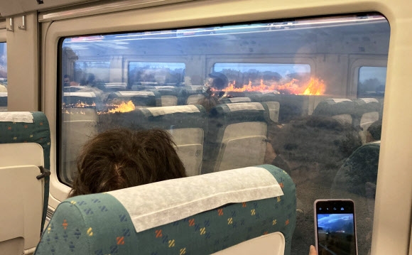 18일(현지시간) 스페인 북부 자모라 지방을 운행하던 열차 안의 승객들이 산불의 화마가 철로 가까이로 너무 빨리 다가와 열차가 멈춰서자 휴대전화를 꺼내 사진을 찍느라 바쁘다. 승객 프란시스코 시오아네 페레스 제공 AP 연합뉴스 