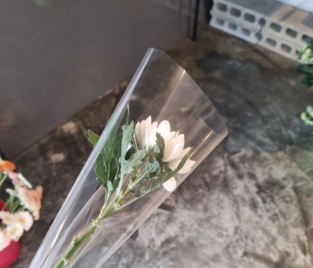 인하대 인근에 있는 꽃집 사장이 A씨에게 무료로 준 국화꽃 한송이. 트위터