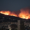 영국 40.3도… 사상 최악 폭염에 ‘불타는 유럽’