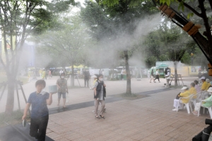 시원한 안개 속으로