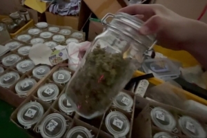 문 닫힌 폐공장 열어보니 ‘대마’ 우수수...거래 일당 67명 검거