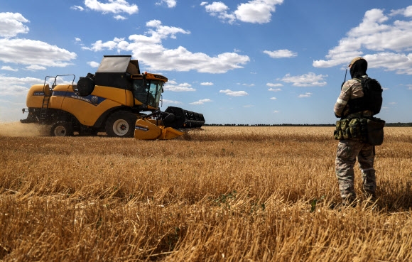 Wheat harvest in Kherson Region, Ukraine
