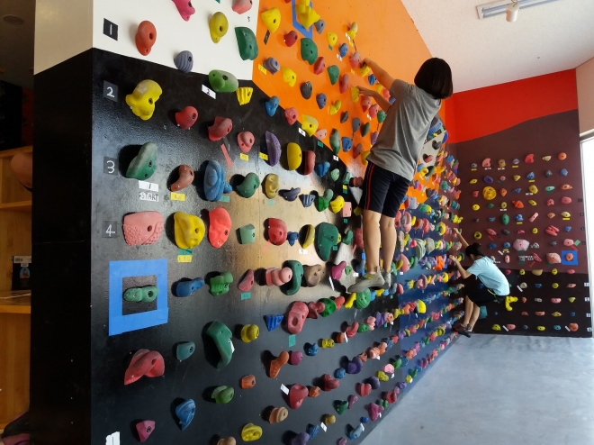 서울 강서구 청소년 체육교실에 참가한 청소년들이 인공암벽을 타고 있다. 강서구 제공