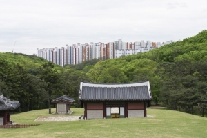 세계유산 앞 세 번째 아파트도 입주 임박… 문화재보존지역 위법행위 제재 못 하나