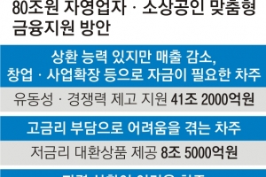 자영업자에 2년간 41조 푼다