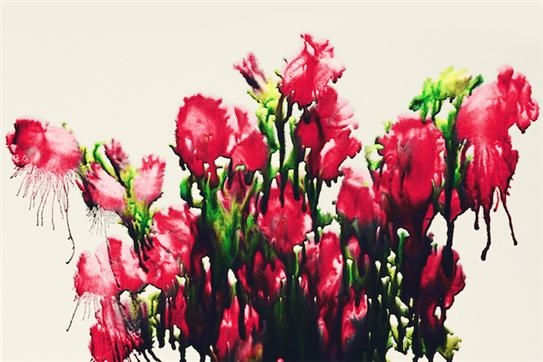 Flower#99, 110x165cm, Pigment ink on fiber based paper, 2020