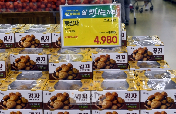 기대인플레이션율이 이번 달 사상 최고치인 4.7%를 기록한 가운데 27일 서울 양재동 농협하나로마트에 가격 급등으로 한때 ‘금(金)자’로 불렸던 감자가 할인된 가격으로 진열돼 있다. 안주영 전문기자