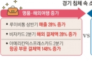 비누도 아껴쓴다 vs 루이비통 플렉스… ‘지갑’의 양극화