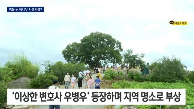 7월 31일 채널A 뉴스 생방송 중 나온 자막 실수. 채널A 유튜브