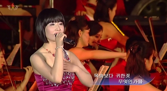 북한 전승절 기념행사에서 노래하는 신인 가수 정홍란. 조선중앙TV 화면