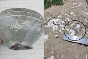 새만금서 단군시대 추정 유물 발견… 청동 패식, 中 동북지방 연관