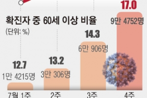 코로나 고령 감염 폭증… 독감 수준 치명률 넘어서나