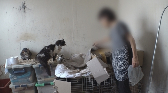 철거 직전 쓰레기로 가득찬 집에서 고양이 30마리와 함께 사는 여성의 사연이 공개됐다. 방송 캡처 