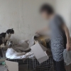 쓰레기 집에 고양이 30마리와 동거…‘유명가수’ 누나였다