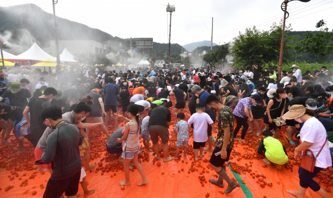 2022 화천 토마토 축제 모습. 화천군 제공