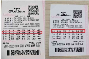 ‘로또번호 예측 사이트’에 6만명 속아 600억 날려