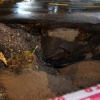 폭우로 열린 맨홀 뚜껑… 휩쓸려 들어간 남매 ‘실종’