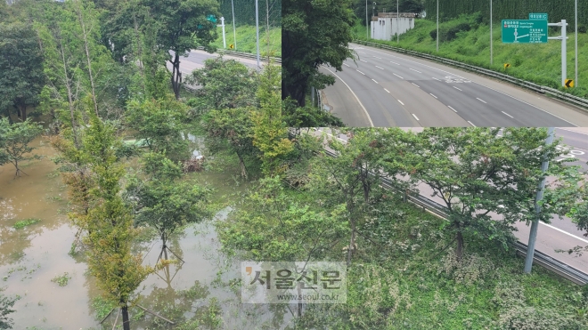 이달 내린 폭우로 잠긴 공원과 그 옆의 통제된 도로 모습이다. 강민혜 기자