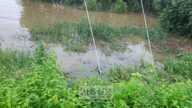 이달 8일 발생한 기록적인 폭우로 한강 수위가 높아져 보행로 인근까지 물이 차오르자 이 곳에서 낚시를 하는 이들이 생겼다. 한강공원에선 원칙적으로 보행로에서 낚시를 하면 안 된다. 강민혜 기자
