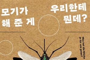 모기가 없다면 인간은 초콜릿을 먹을 수 없다