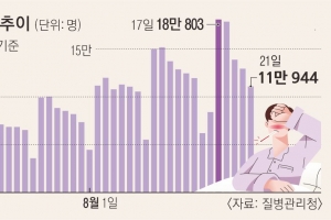 재유행 이후 확진자 첫 감소… 위중증·사망자 증가세 여전