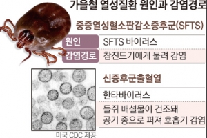 ‘4대 열성 질환’ 발열·근육통 증상… 성묘·캠핑 갈 때 피부 노출 줄이세요