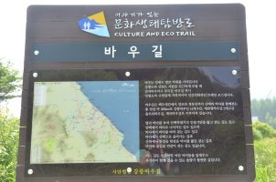 청정 자연속을 걷는 강릉 바우길에 반련동물과 함께 걷는 구간이 만들어져 23일 개통됐다. 강릉시 제공 