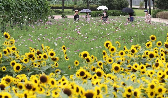 무더위 가고 가을이 오는 풍경