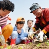 동대문구 “도시농업 체험학습장서 김장용 채소 심어보세요”