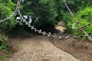 백화점 있던 핫플의 부활… ‘접경지’ 고랑포, 다시 지역경제 핵으로[자치분권 2.0-함께 가요! 지역소멸 막기]