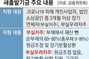 ‘빚 80% 탕감’ 불공정 논란에… 딱 한 번, 최대 15억까지로 축소