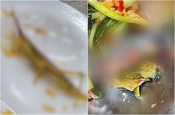 급식서 나온 메뚜기, 개구리 사체 온라인 커뮤니티