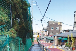 전신주 대못 뽑은 성동… 감사원장 표창 받았다